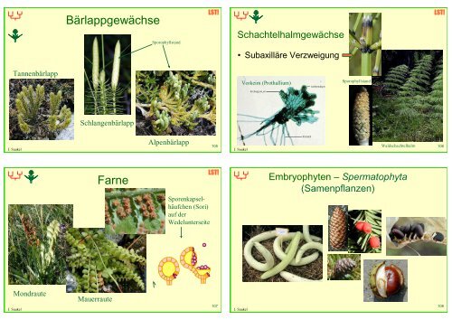 Biologie f. Pharmazeuten (1) - 23mb - PharmXplorer