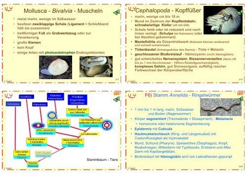 Biologie f. Pharmazeuten (1) - 23mb - PharmXplorer