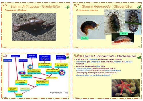 Biologie f. Pharmazeuten (1) - 23mb - PharmXplorer