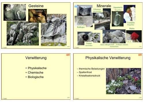 Biologie f. Pharmazeuten (1) - 23mb - PharmXplorer