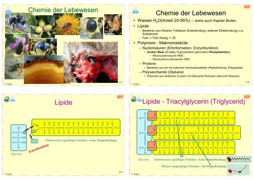 Biologie f. Pharmazeuten (1) - 23mb - PharmXplorer