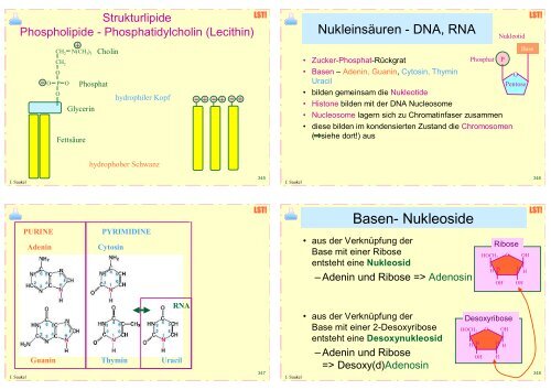 Biologie f. Pharmazeuten (1) - 23mb - PharmXplorer