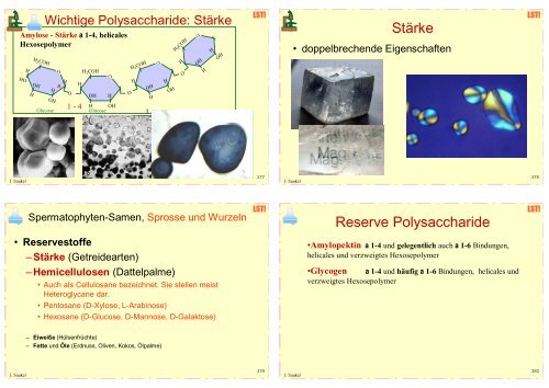 Biologie f. Pharmazeuten (1) - 23mb - PharmXplorer