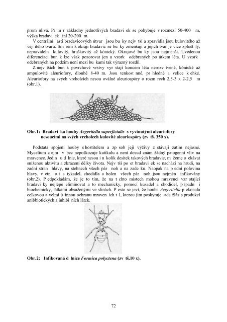 Formica 1999-2 (str. 59-86).pdf