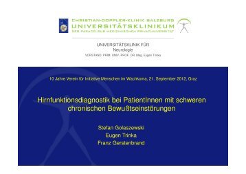 Hirnfunktionsdiagnostik bei PatientInnen mit schweren chronischen ...