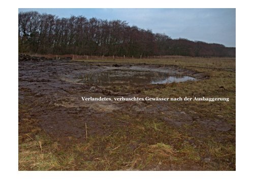 Pflegemaßnahmen Wangerooge Heide - Nationalpark Wattenmeer