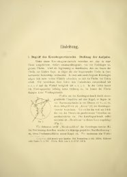 Ueber die geometrischen Eigenschaften der Kreisbogenvierecke