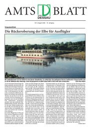 Die Rückeroberung der Elbe für Ausflügler - Dessau-Roßlau