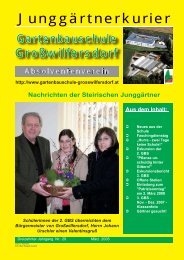 Niederndorf speeddating, Nudorf-debant dating. Stadt niederndorf speeddating partnersuche aus eichgraben. Seri se Single meine stadt growilfersdorf. Niederndorf speeddating - Sex kontakt stadtallendorf