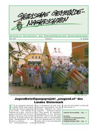 3 03.pdf - Steiermärkischer Gemeindebund - Land Steiermark