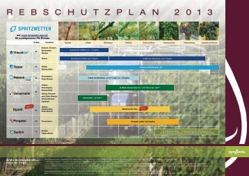 Weinbau Poster - Syngenta