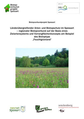 Vorrangflächenkonzept Feuchtgrünland - Naturpark Spessart