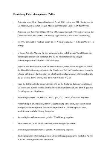 Herstellen elektrokompetenter E. coli