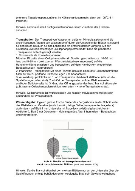 Bergahorn - Oberstufe - GLOBE