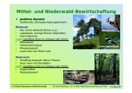 Download Power-Point-Präsentation Teil 2 - Umweltdachverband