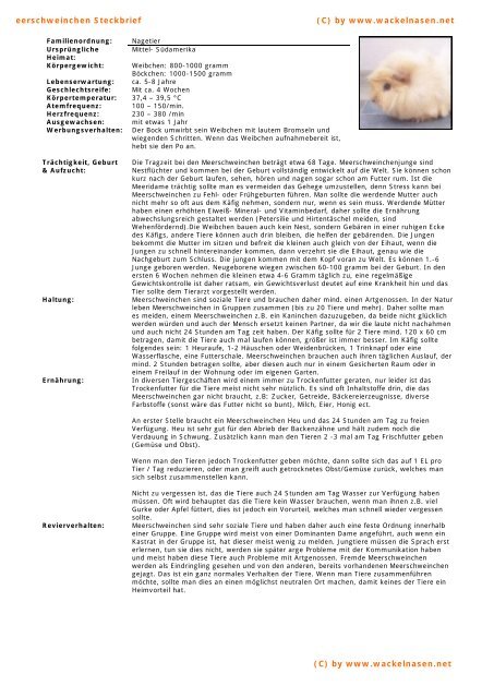 Meerschweinchen Steckbrief C By Www Wackelnasen Net C By