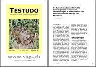 mehr - Schildkröten-Interessengemeinschaft Schweiz