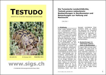 mehr - Schildkröten-Interessengemeinschaft Schweiz