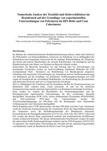 Numerische Analyse der Toxizität und Sichtverhältnisse im ...