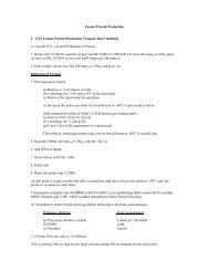 GST Fusion Protein Production