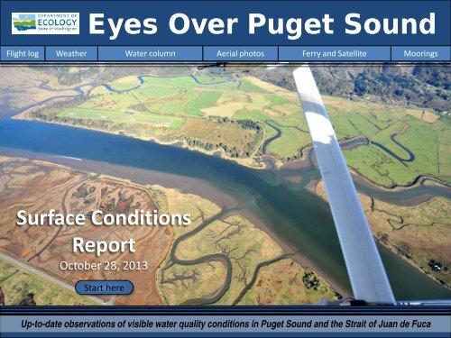 Eyes Over Puget Sound
