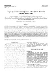 Fungal species isolated from Quercus castaneifolia in ... - Biodiversitas