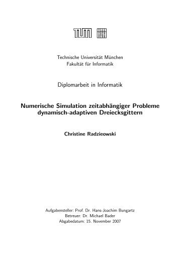 Diplomarbeit in Informatik Numerische Simulation zeitabhängiger ...