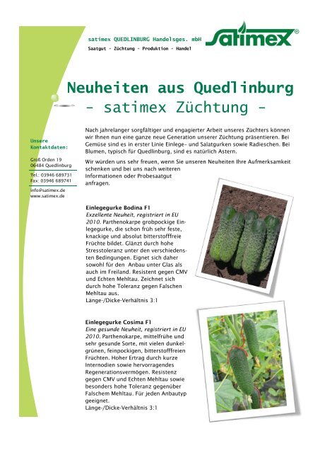 Neuheiten aus Quedlinburg - satimex Züchtung -