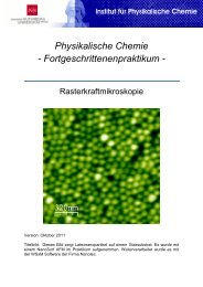 Rasterkraftmikroskopie - am Institut für Physikalische Chemie