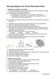 Übungsaufgaben zum Thema Ökosystem Wald 1 - Realschule Lage