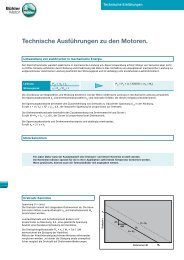 Technische Ausführungen zu den Motoren. - Bühler Motor