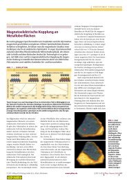 PDF (179 kB) - Max-Planck-Institut für Mikrostrukturphysik