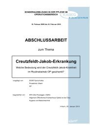 ABSCHLUSSARBEIT Creutzfeldt-Jakob-Erkrankung - Kabeg