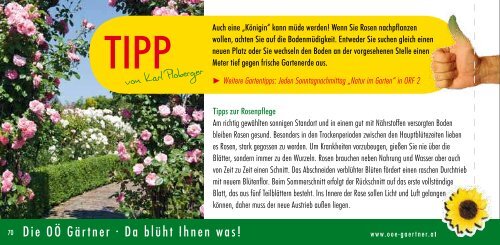 downloaden - Blumenhaus und Gartenbau Mayer