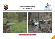 Baybach - Wasserwirtschaftsverwaltung Rheinland-Pfalz