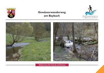 Baybach - Wasserwirtschaftsverwaltung Rheinland-Pfalz
