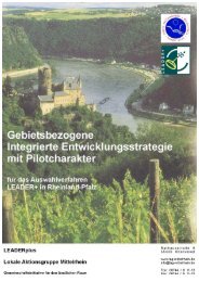 GIEP LAG Mittelrhein.pdf