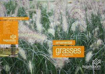 Ornamental Grasses by Hogendoorn Download the brochure