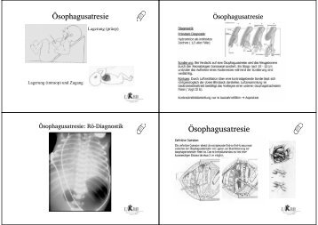 Kinder-Viszeralchirurgie Teil 2 - gastroenterology-hepatology-basel