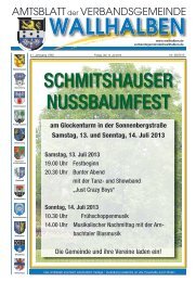 SCHMITSHAUSER NUSSBAUMFEST - Verbandsgemeinde ...