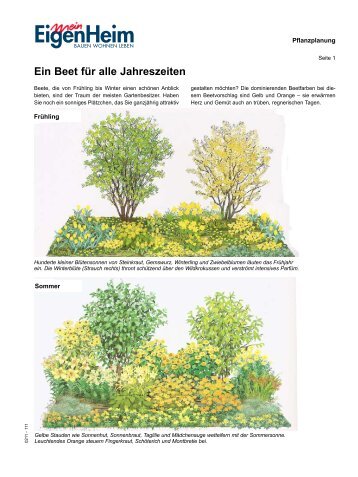 Pflanzplan: 4-Jahreszeiten-Beet - Mein EigenHeim