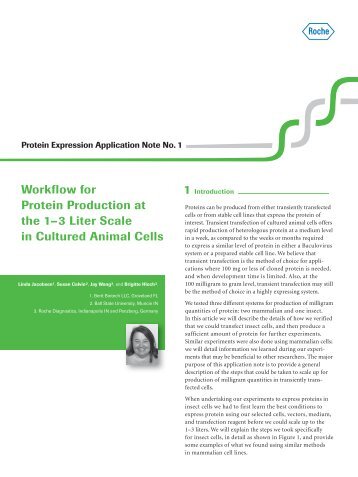 Workflow for Protein Production at the 1–3 Liter Scale in Cultured ...