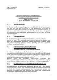 Stellungnahme Rechnungsprüfung 2005-2008