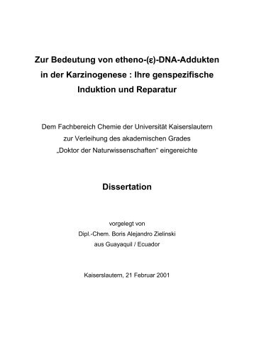 Dokument_1.pdf (3127 KB) - KLUEDO - Universität Kaiserslautern