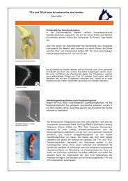 TTA und TPLO beim Kreuzbandriss des Hundes - Dr. med. vet ...