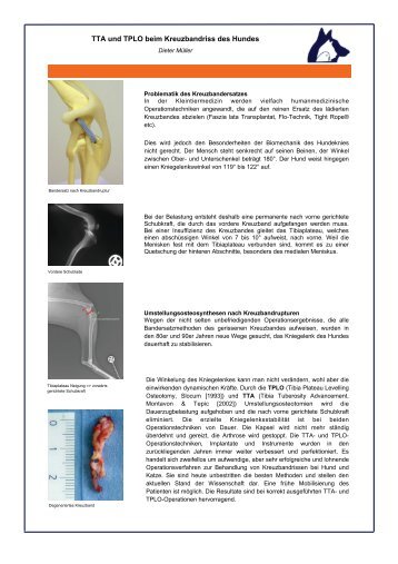 TTA und TPLO beim Kreuzbandriss des Hundes - Dr. med. vet ...