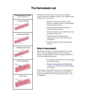 The Hemostasis Lab - Styles & Scribbles