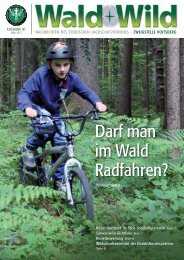 Wald + Wild das Infoblatt des Steir. Jagdschutzvereins Zweigstelle ...