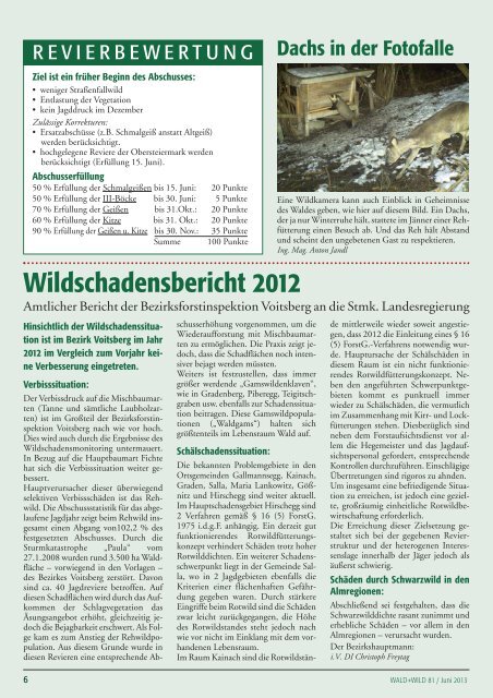 Wald + Wild das Infoblatt des Steir. Jagdschutzvereins Zweigstelle ...