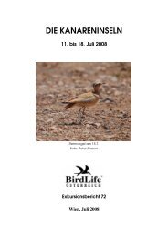 download - BirdLife Österreich